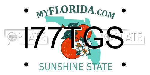 I77TGS Florida License Plate