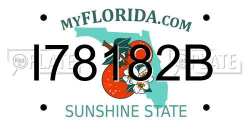 I78182B Florida License Plate
