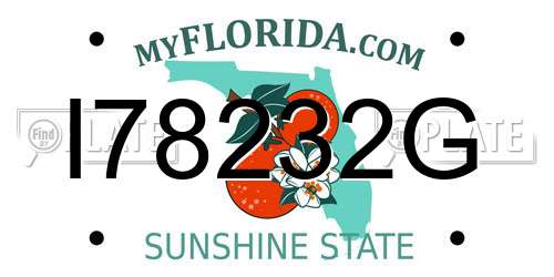 I78232G Florida License Plate