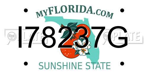 I78237G Florida License Plate