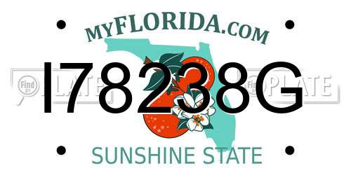 I78238G Florida License Plate