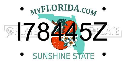 I78445Z Florida License Plate
