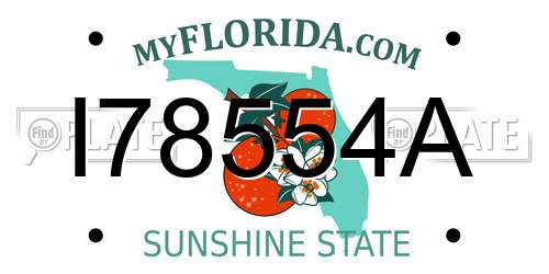 I78554A Florida License Plate