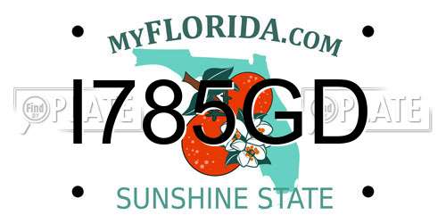 I785GD Florida License Plate