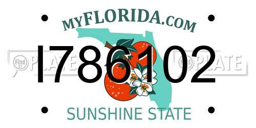 I786102 Florida License Plate
