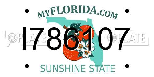 I786107 Florida License Plate