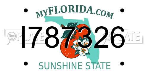 I787326 Florida License Plate