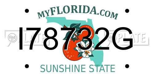 I78732G Florida License Plate