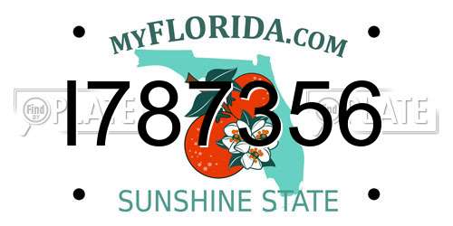 I787356 Florida License Plate