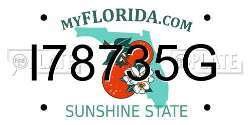 I78735G Florida License Plate