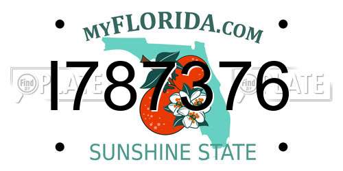 I787376 Florida License Plate
