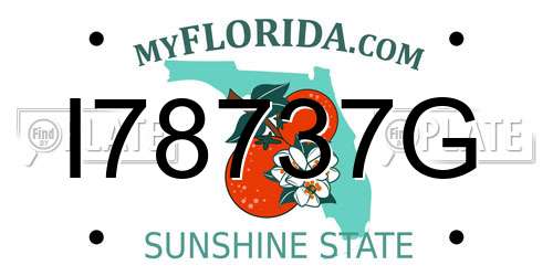 I78737G Florida License Plate