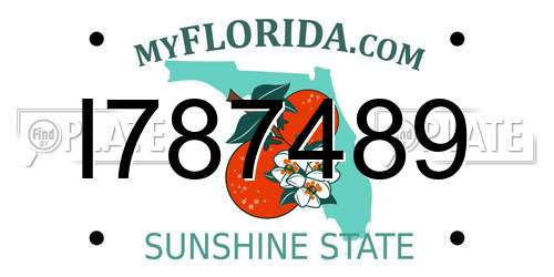 I787489 Florida License Plate