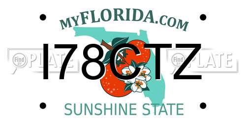 I78CTZ Florida License Plate