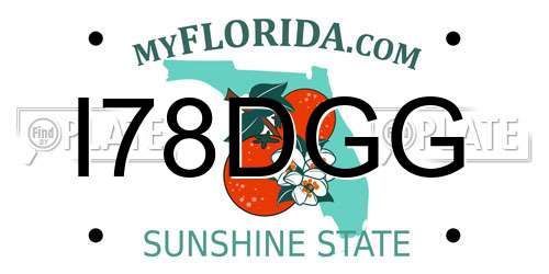 I78DGG Florida License Plate