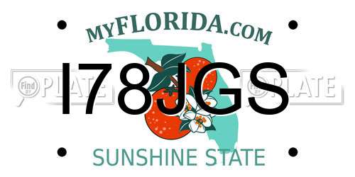 I78JGS Florida License Plate