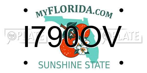 I790OV Florida License Plate