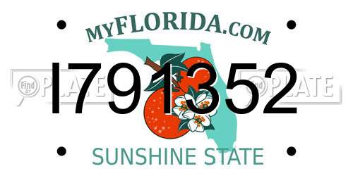 I791352 Florida License Plate