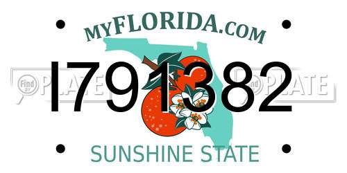 I791382 Florida License Plate
