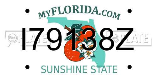 I79138Z Florida License Plate