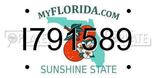 I791589 Florida License Plate