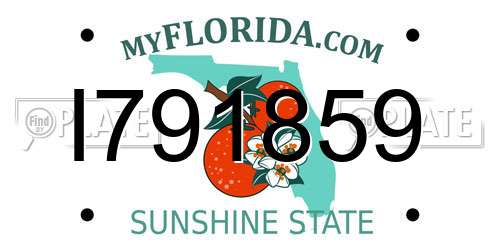 I791859 Florida License Plate