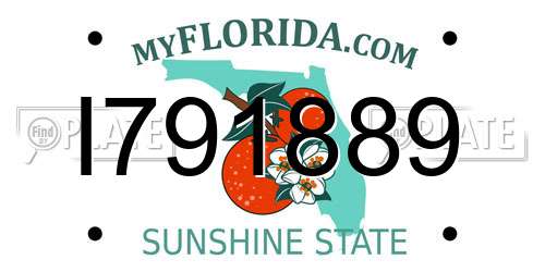 I791889 Florida License Plate