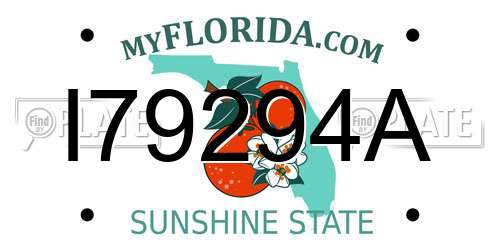 I79294A Florida License Plate