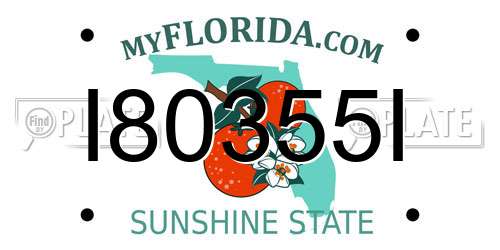 I80355I Florida License Plate