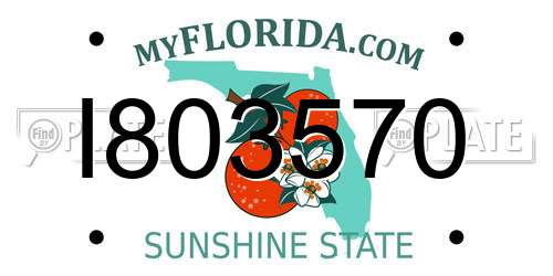 I803570 Florida License Plate