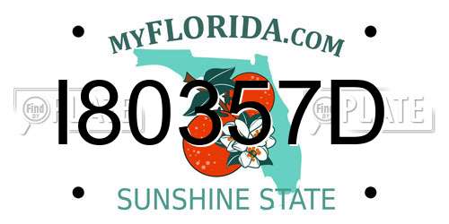 I80357D Florida License Plate