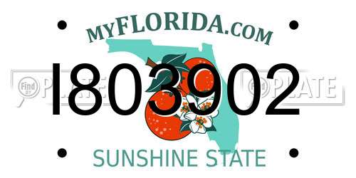 I803902 Florida License Plate