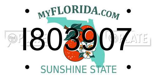 I803907 Florida License Plate