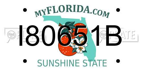 I80651B Florida License Plate