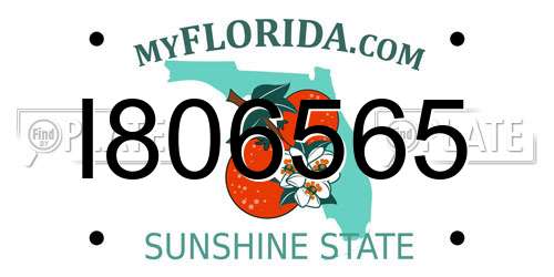 I806565 Florida License Plate