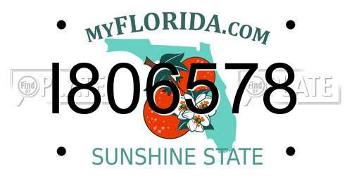 I806578 Florida License Plate