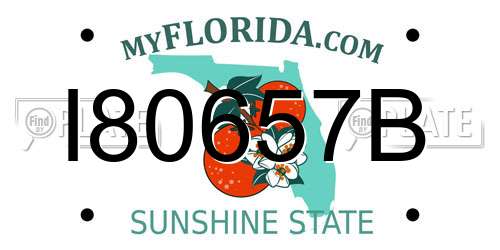I80657B Florida License Plate