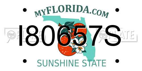 I80657S Florida License Plate