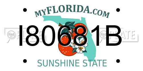 I80681B Florida License Plate