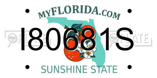 I80681S Florida License Plate