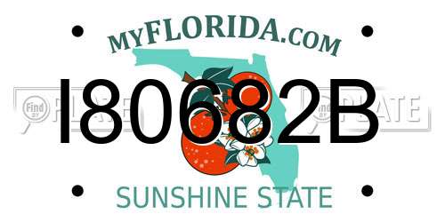 I80682B Florida License Plate
