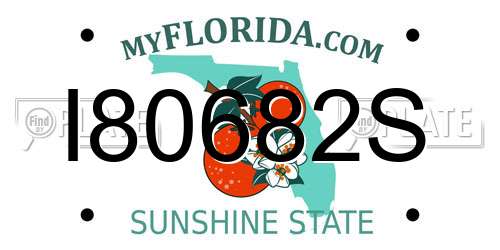 I80682S Florida License Plate