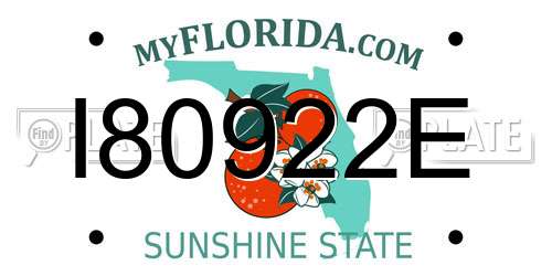 I80922E Florida License Plate
