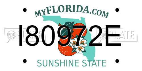 I80972E Florida License Plate