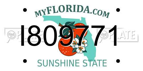 I809771 Florida License Plate