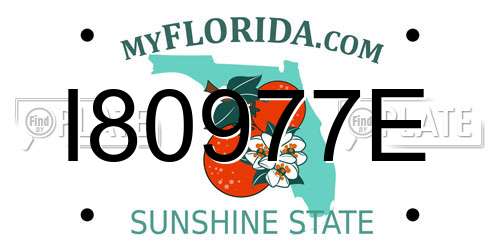 I80977E Florida License Plate