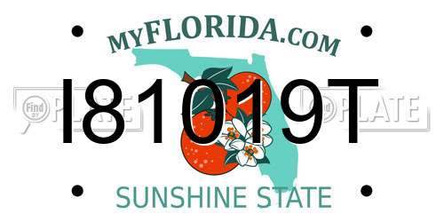 I81019T Florida License Plate