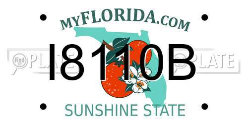 I8110B Florida License Plate