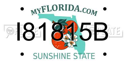 I81815B Florida License Plate