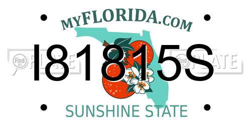 I81815S Florida License Plate
